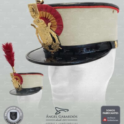 Ros Guardia Real Juan Carlos I. TROPA