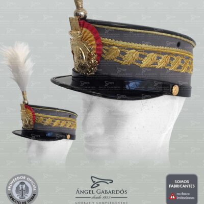 Ros General Director AGM. Academia General Militar