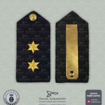 Par de Palas Rígidas - Teniente Infantería de Marina