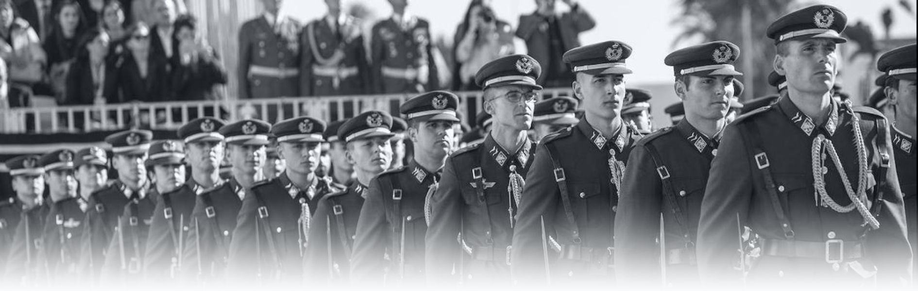 Ejército del Aire